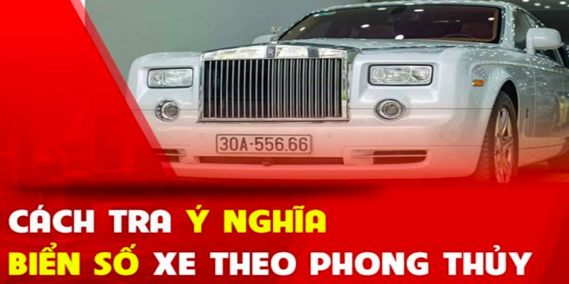 Tra-y-nghia-bien-so-xe-1