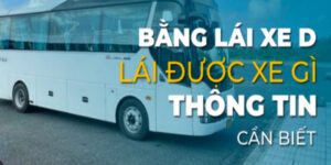 bang-d-lai-duoc-xe-tai-bao-nhieu-tan-1