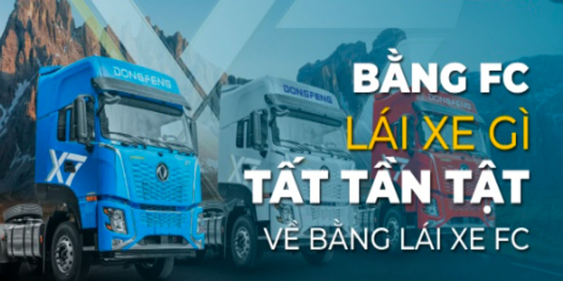 bang-fc-lai-xe-gi-2