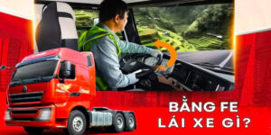 bang-fe-lai-xe-gi