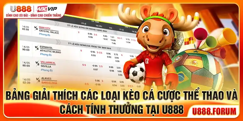 bang-giai-thich-cac-loai-keo-ca-cuoc-the-thao-va-cach-tinh-thuong-tai-u888