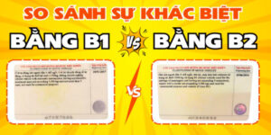 bang-lai-xe-b1-va-b2-co-gi-khac-nhau-1