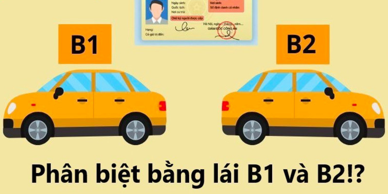 bang-lai-xe-b1-va-b2-co-gi-khac-nhau