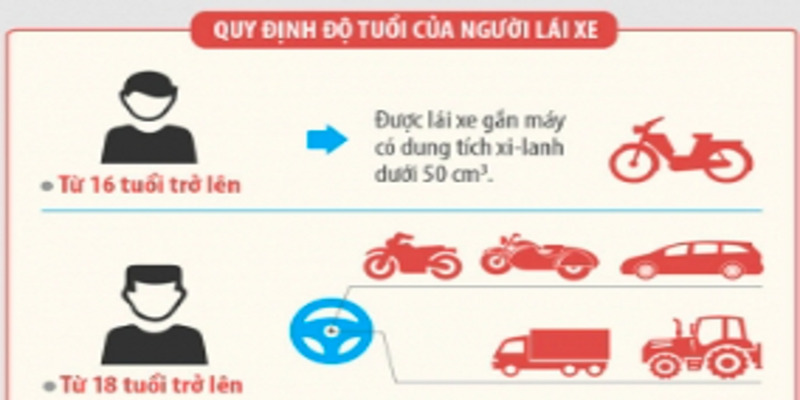 bao-nhieu-tuoi-duoc-di-xe-50cc-1