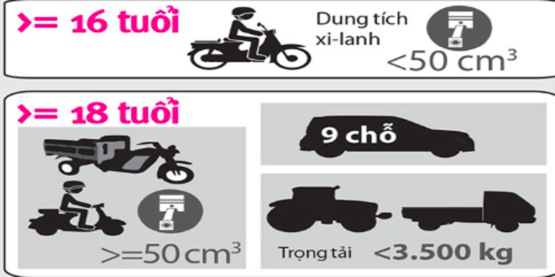 bao-nhieu-tuoi-duoc-di-xe-50cc