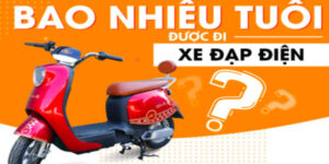 bao-nhieu-tuoi-duoc-di-xe-dap-dien