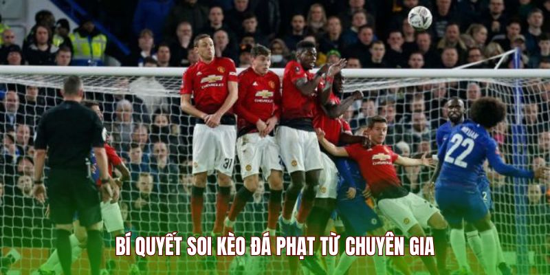 bi-quyet-soikeo-da-phat-tu-chuyen-gia