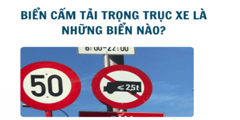 bien-cam-tai-trong-truc-xe-2