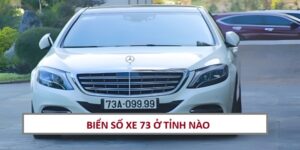 bien-so-73-thuoc-tinh-nao