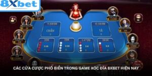 cac-cua-cuoc-pho-bien-trong-game-xoc-dia-8xbet-hien-nay