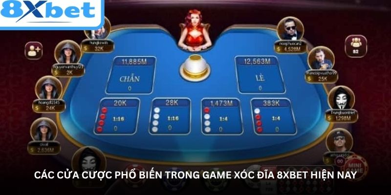 cac-cua-cuoc-pho-bien-trong-game-xoc-dia-8xbet-hien-nay