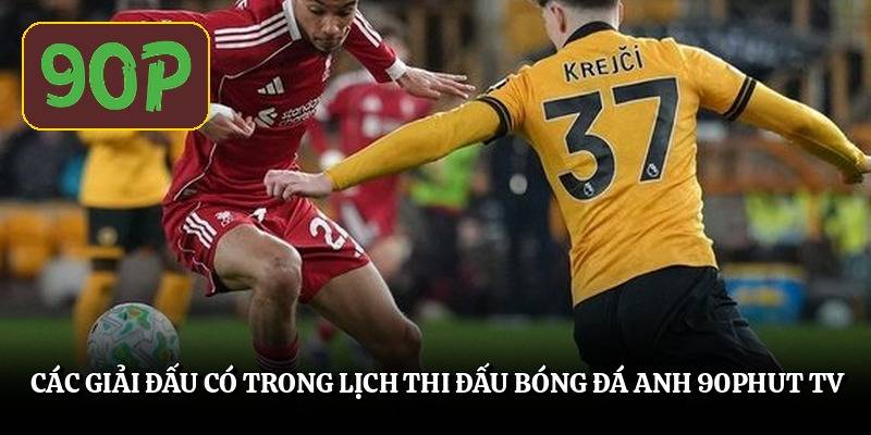 cac-giai-dau-co-trong-lich-thi-dau-bong-da-anh-90phut-tv