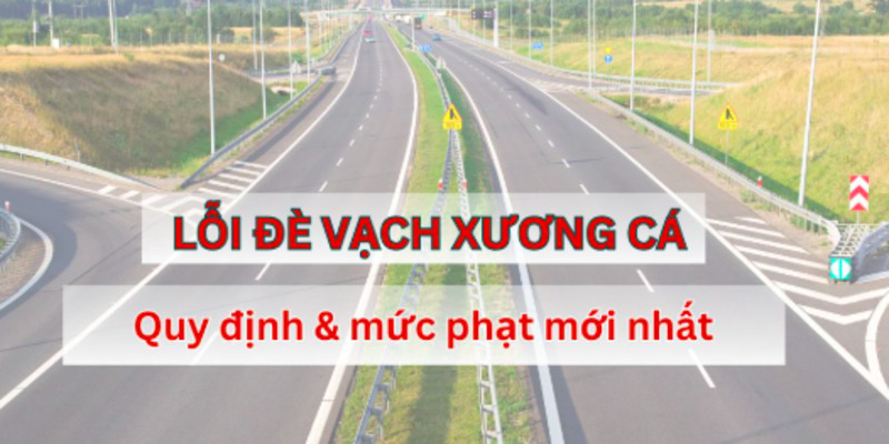 cac-loai-vach-xuong-ca-2