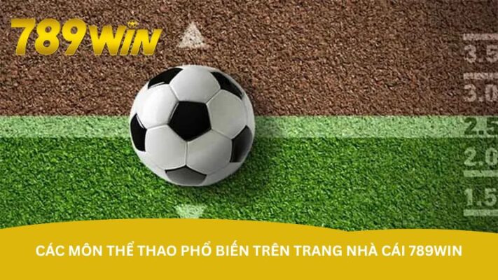 cac-mon-the-thao-pho-bien-tren-trang-nha-cai-789win