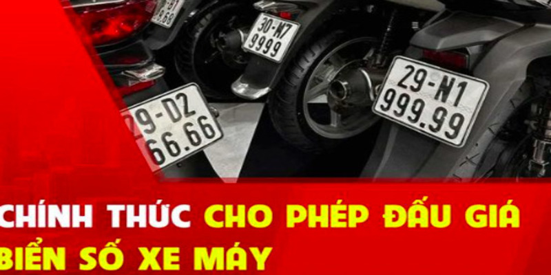 cach-dau-gia-bien-so-xe-may