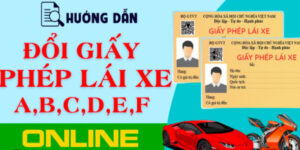 cach-doi-giay-phep-lai-xe-online