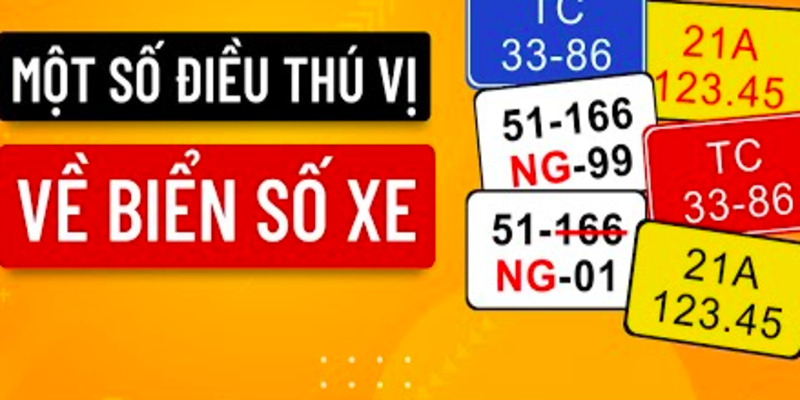 cach-xem-bien-so-xe-dẹp-xau