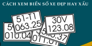 cach-xem-bien-so-xe-dẹp-hay-xau