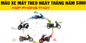 chon-mau-xe-theo-ngay-thang-nam-sinh