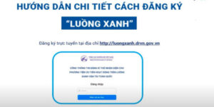 dang-ky-luong-xanh-cho-xe-tai-2