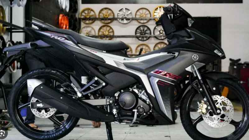 gia-dan-ao-xe-ex-bao-nhieu-3
