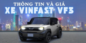 gia-xe-vf3-1