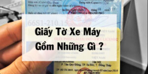 giay-to-xe-may-gom-nhung-gi