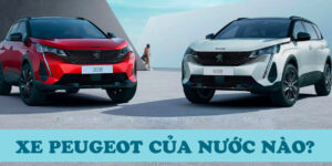 hang-xe-peugeot-cua-nuoc-nao-1
