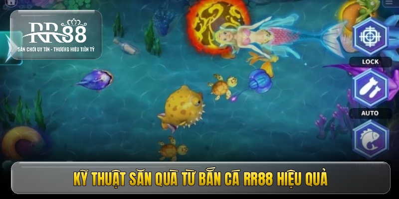 ky-thuat-san-qua-tu-ban-ca-rr88-hieu-qua