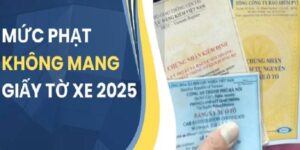 loi-khong-mang-giay-to-xe