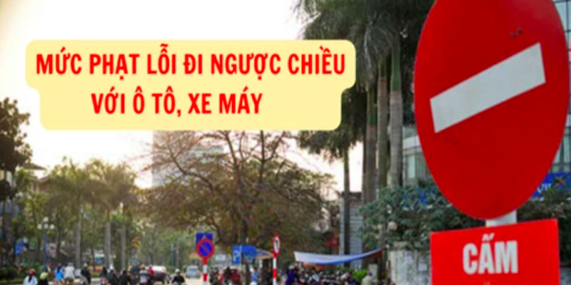 muc-phat-loi-nguoc-chieu-o-to-1