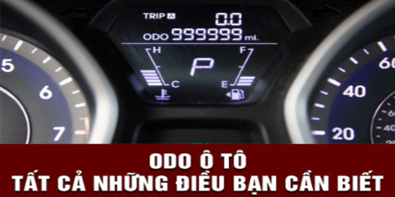 odo-xe-o-to-1