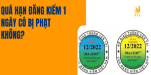 qua-han-dang-kiem-1-ngay