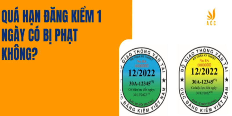 qua-han-dang-kiem-1-ngay