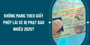 quen-giay-phep-lai-xe-oto-phat-bao-nhieu