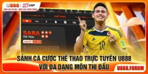sanh-ca-cuoc-the-thao-truc-tuyen-u888-voi-da-dang-mon-thi-dau