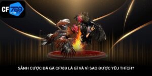 sanh-cuoc-da-ga-cf789-la-gi-va-vi-sao-duoc-yeu-thich