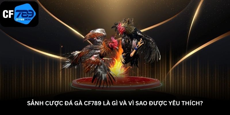 sanh-cuoc-da-ga-cf789-la-gi-va-vi-sao-duoc-yeu-thich