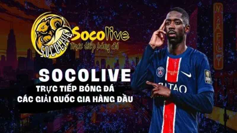 socolive-link-ket-noi-nhanh-voi-the-gioi-bong-da-1