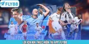 tai-app-fly88-cung-bi-quyet-su-dung