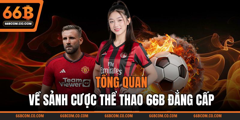 the-thao-66b-khong-gian-soi-dong
