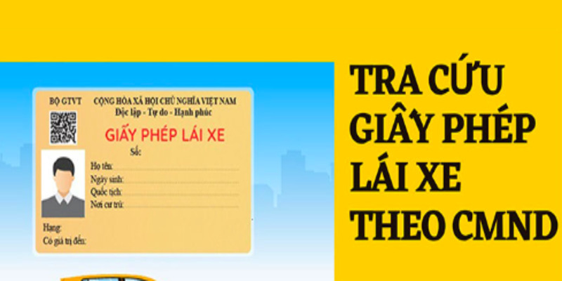 Cách tìm số giấy phép lái xe bằng CMND qua VNeID