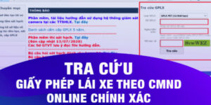 tim-so-giay-phep-lai-xe-bang-cmnd