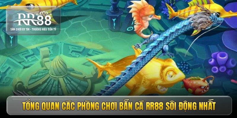 tong-quan-cac-phong-choi-ban-ca-rr88-soi-dong-nhat