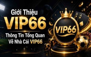 tong-quan-nen-tang-vip66