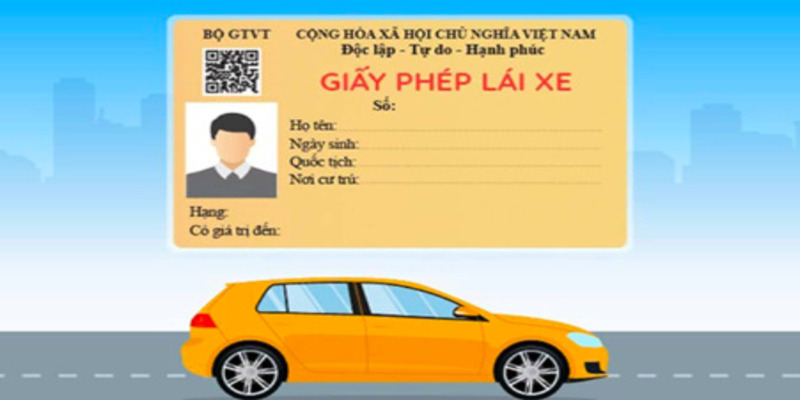 tra-cuu-giay-phep-lai-xe-bi-tam-giu-2