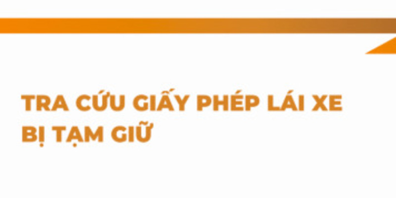 tra-cuu-giay-phep-lai-xe-bi-tam-giu