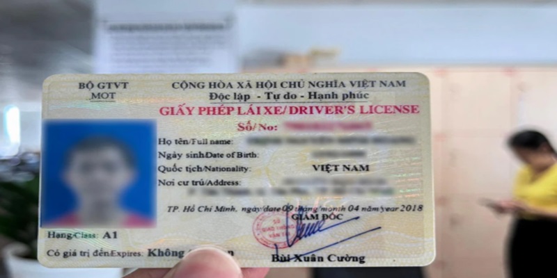 tra-cuu-giay-phep-lai-xe-that-gia-3
