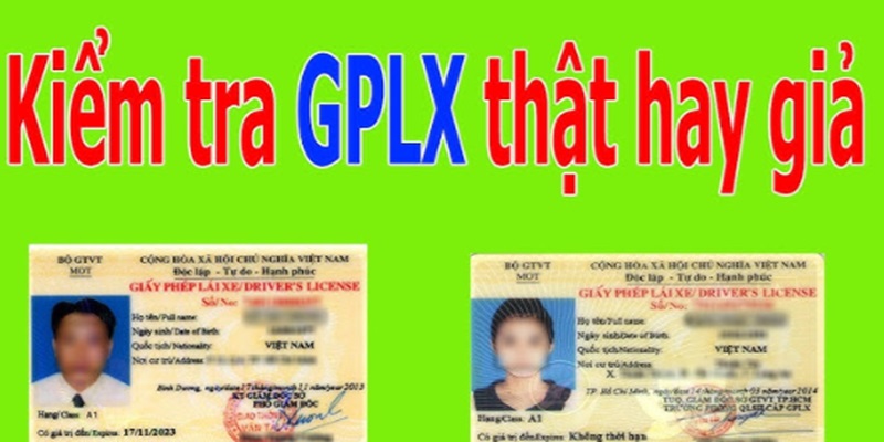 tra-cuu-giay-phep-lai-xe-that-gia