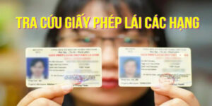 tra-so-giay-phep-lai-xe-moi-thi-1